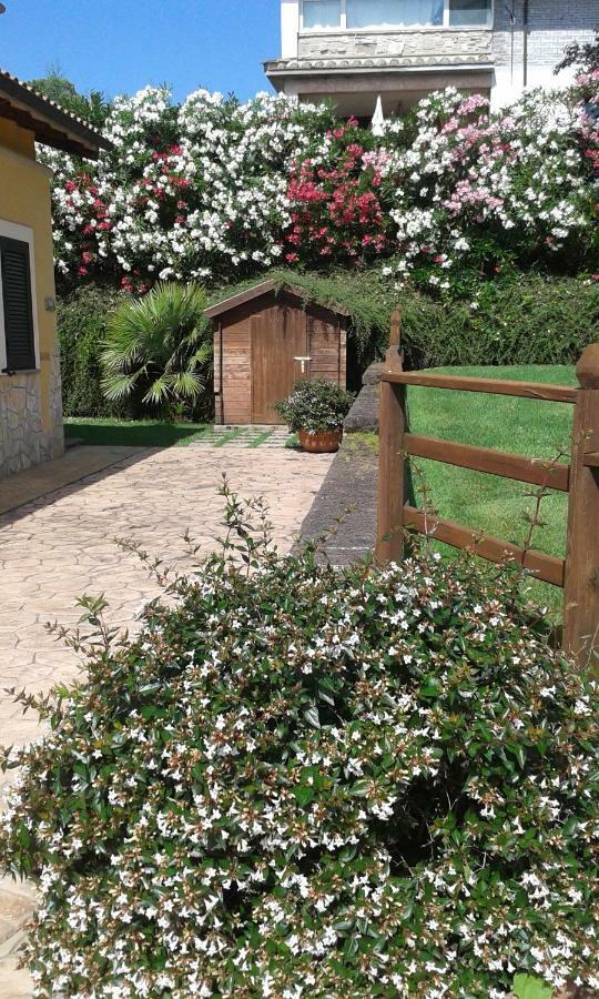 L'Infinito Acomodação com café da manhã Carbognano Exterior foto